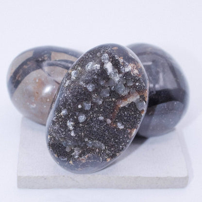 Black Septarian Palm Stones - AAA Premium Quality