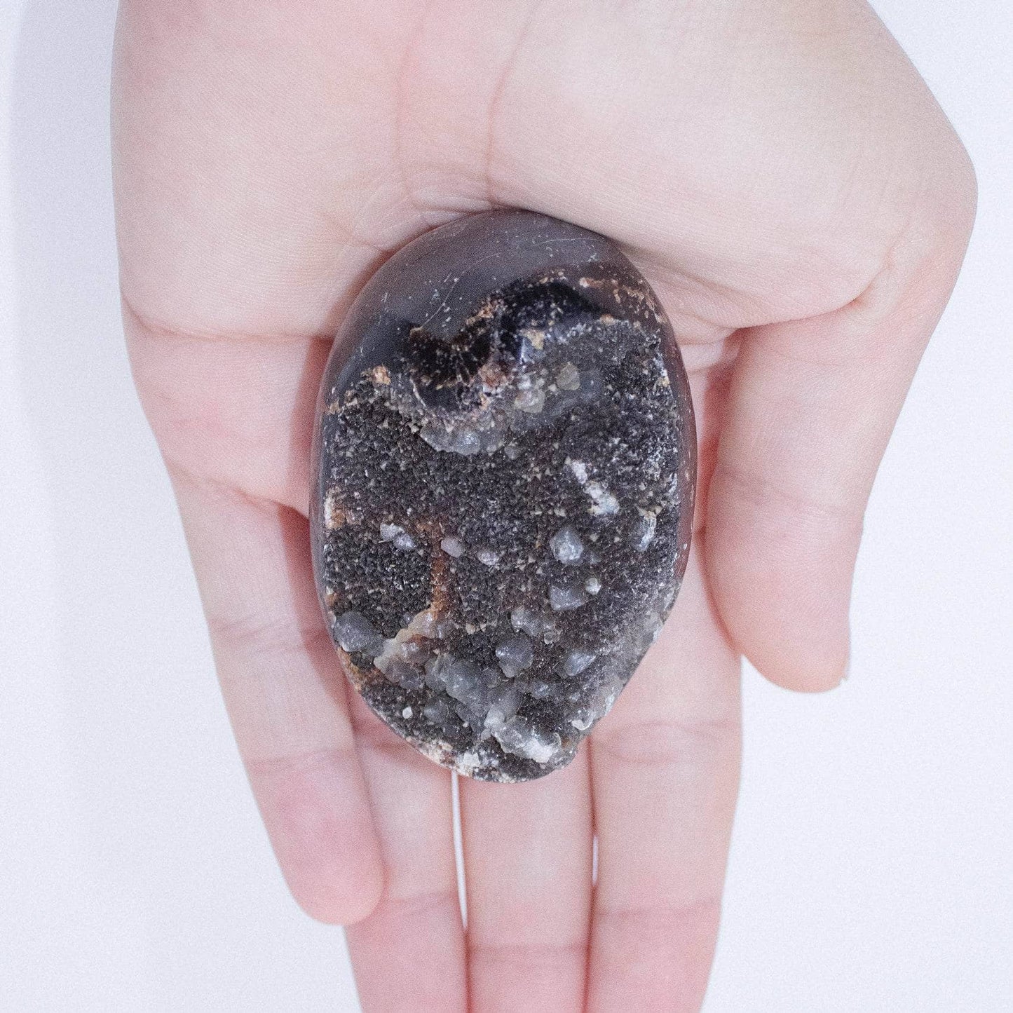 Black Septarian Palm Stones - AAA Premium Quality