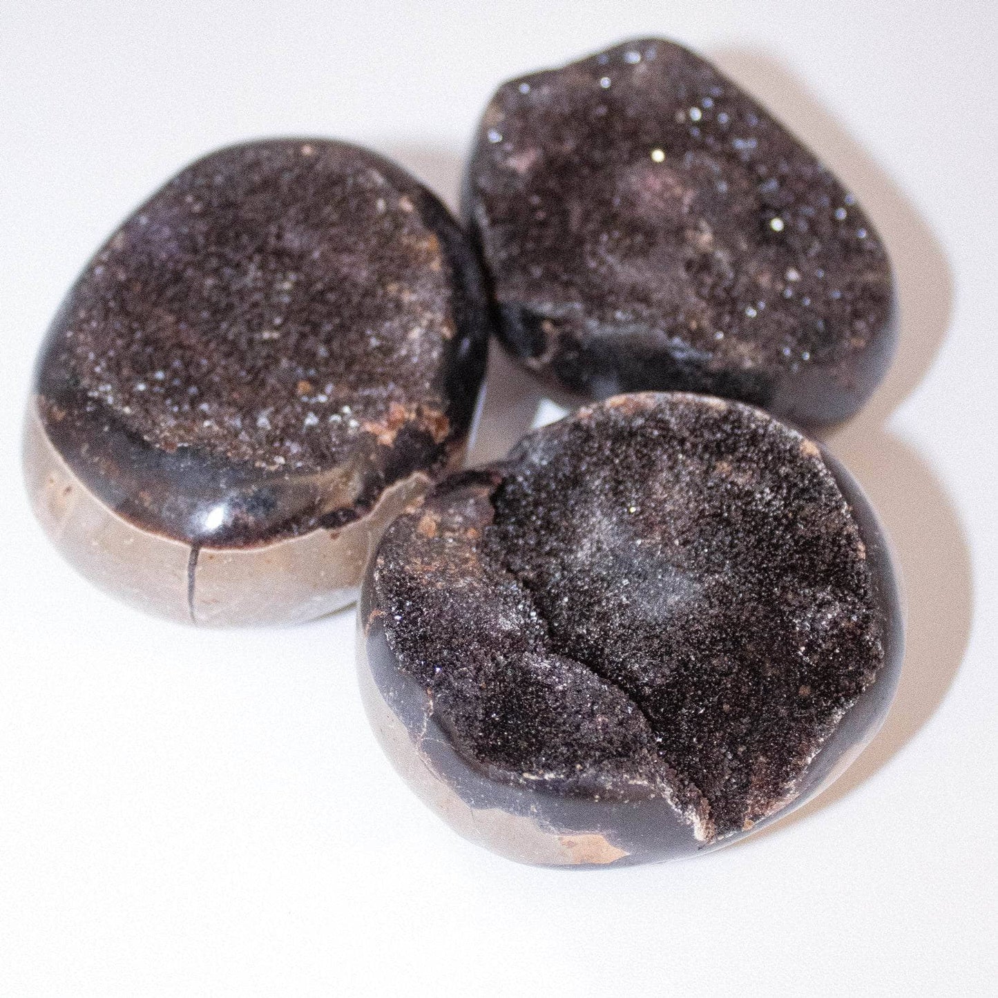 Black Septarian Palm Stones - AAA Premium Quality