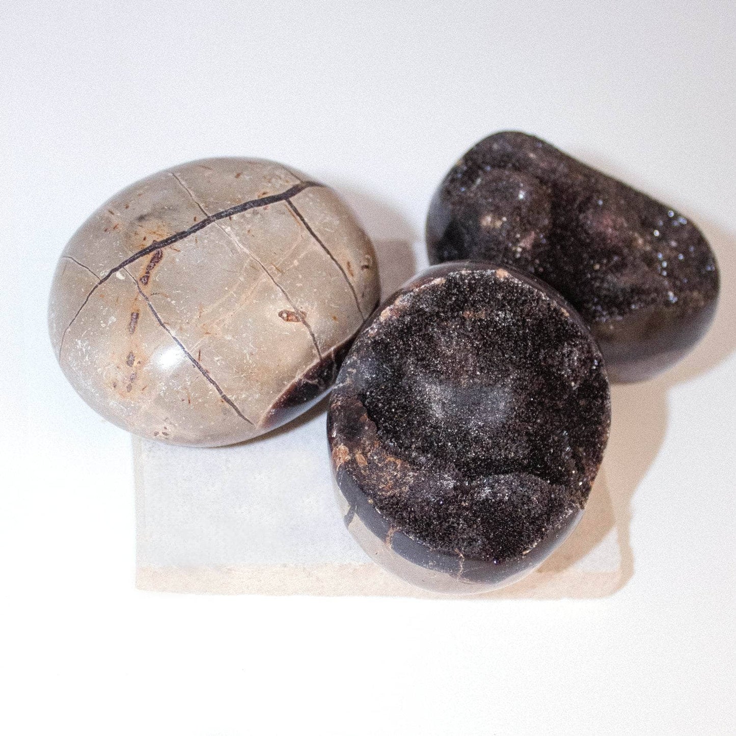 Black Septarian Palm Stones - AAA Premium Quality
