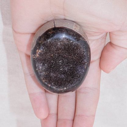 Black Septarian Palm Stones - AAA Premium Quality