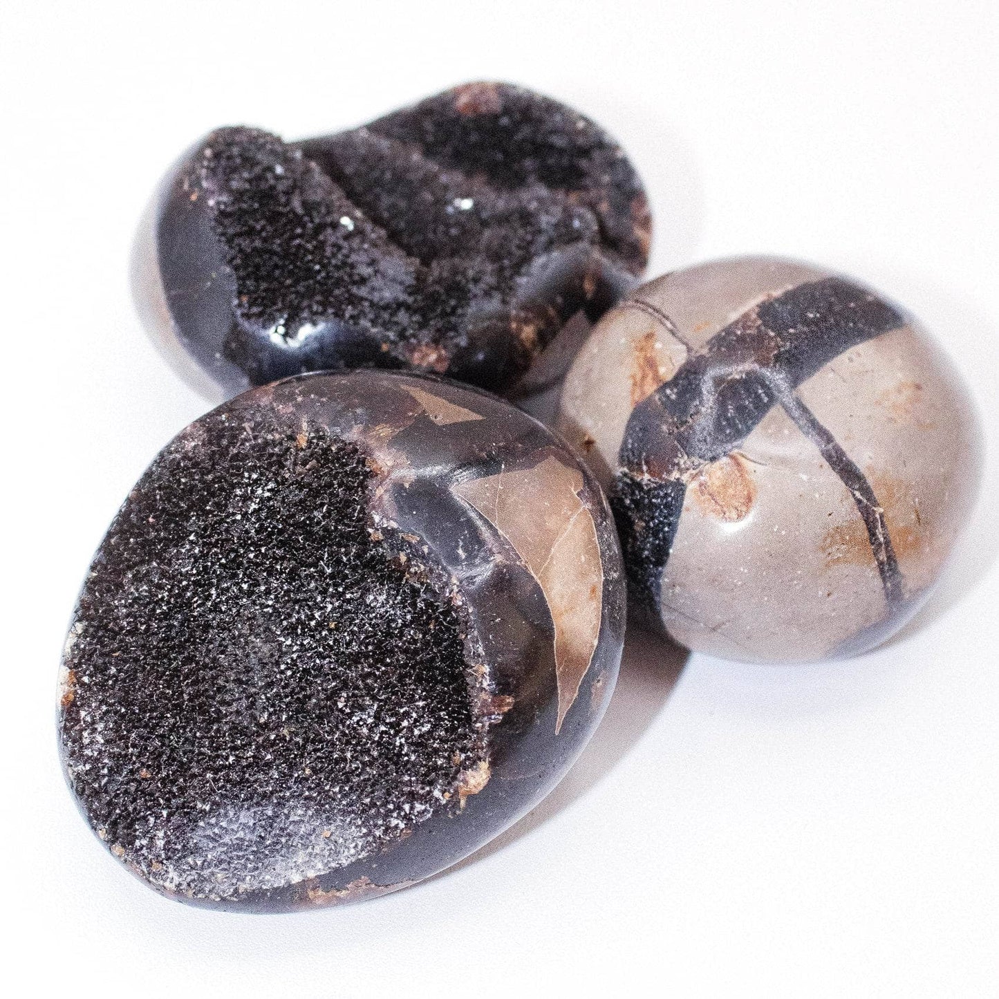 Black Septarian Palm Stones - AAA Premium Quality