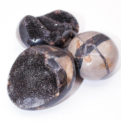 Black Septarian Palm Stones - AAA Premium Quality