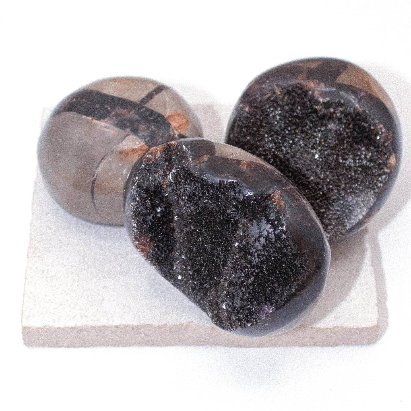 Black Septarian Palm Stones - AAA Premium Quality
