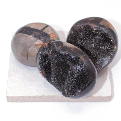 Black Septarian Palm Stones - AAA Premium Quality