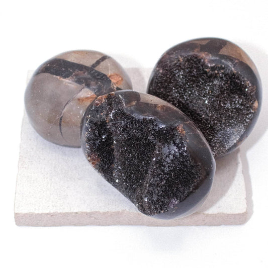 Black Septarian Palm Stones - AAA Premium Quality