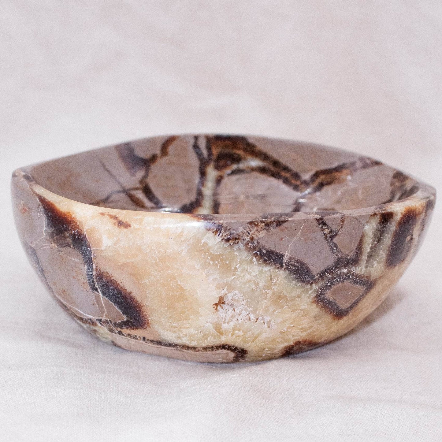 Black Septarian Bowl - 1 of a Kind
