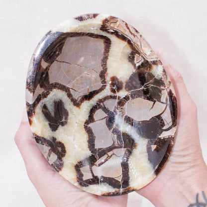 Black Septarian Bowl - 1 of a Kind