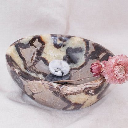 Black Septarian Bowl - 1 of a Kind