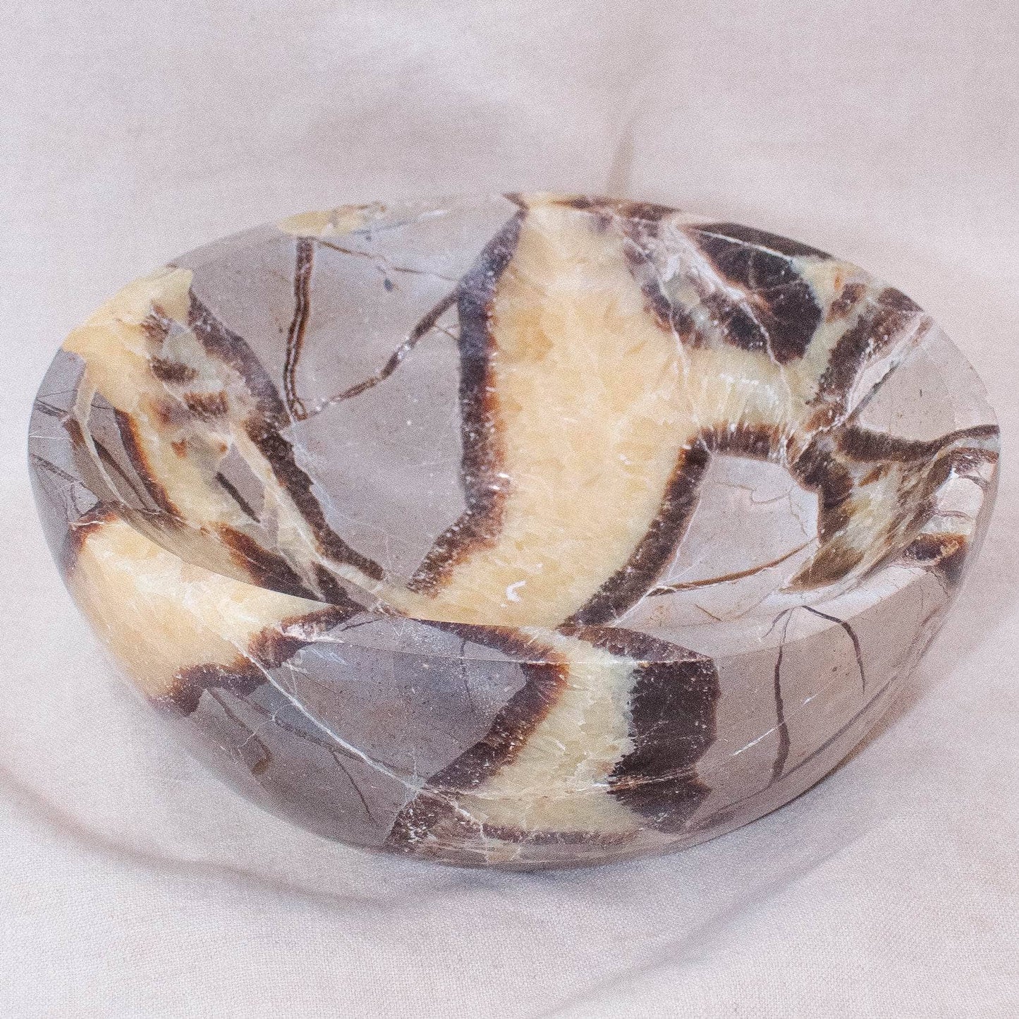 Black Septarian Bowl - 1 of a Kind