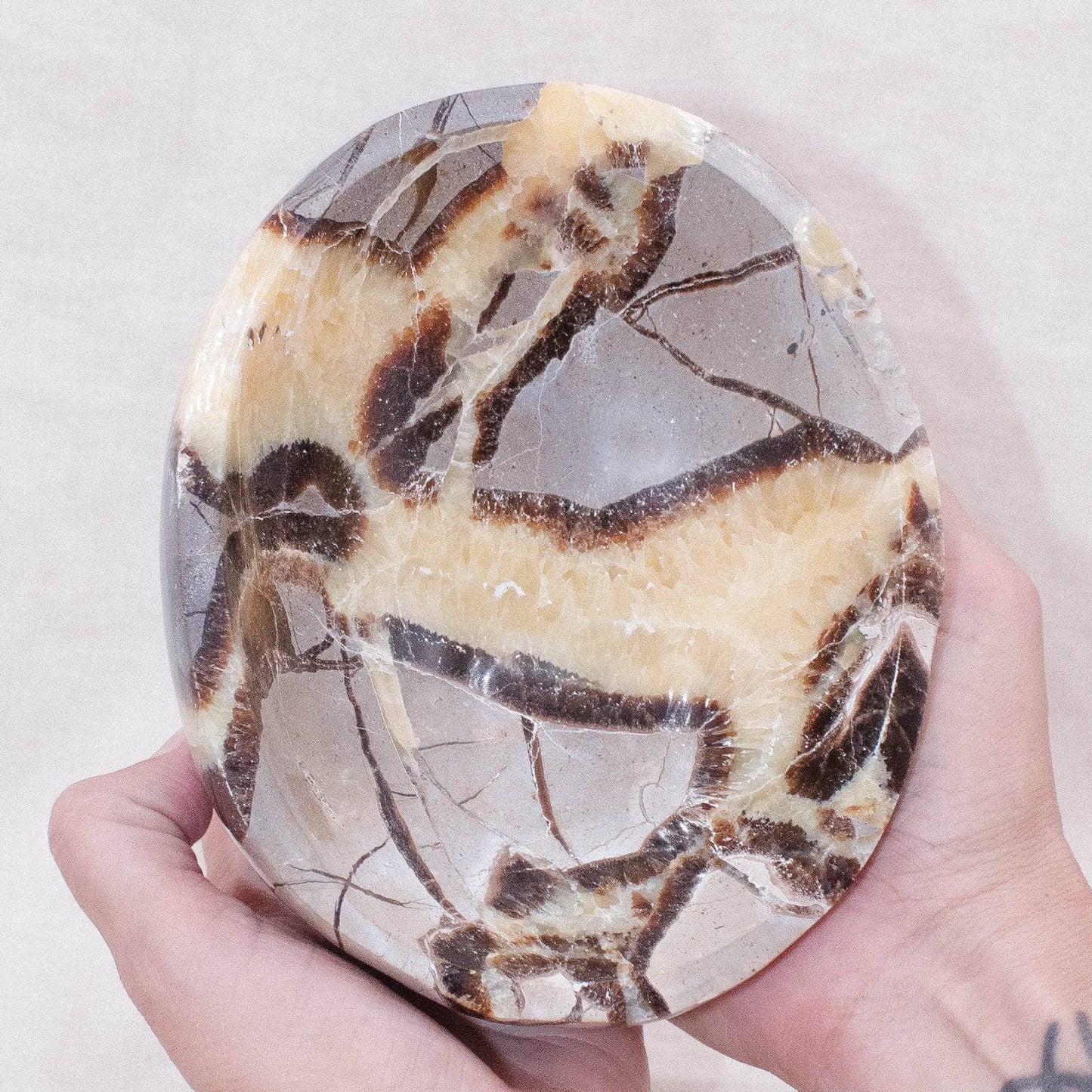 Black Septarian Bowl - 1 of a Kind