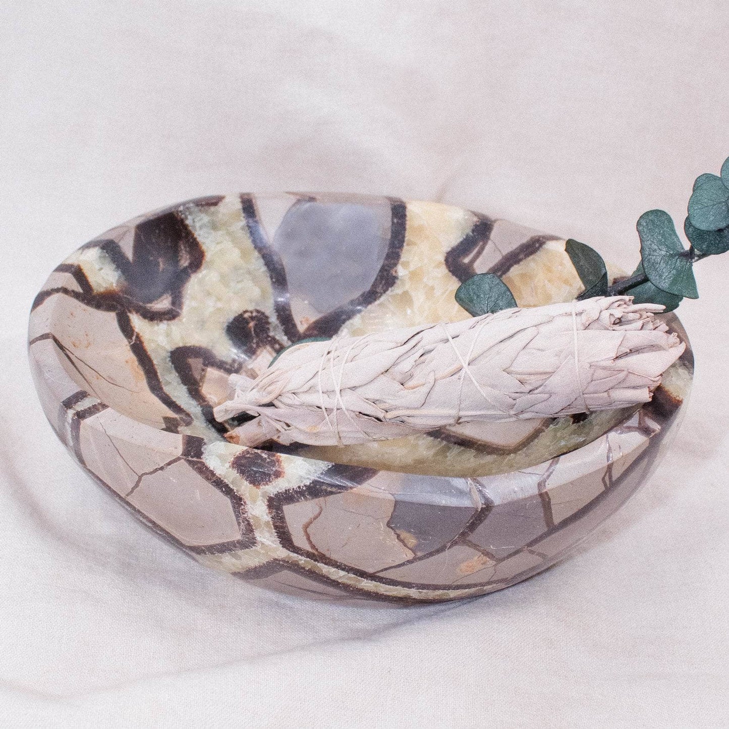 Black Septarian Bowl - 1 of a Kind