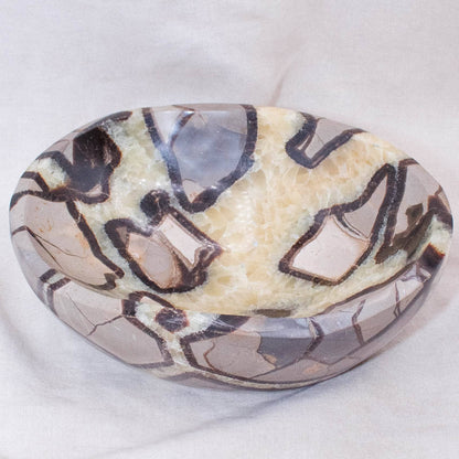 Black Septarian Bowl - 1 of a Kind