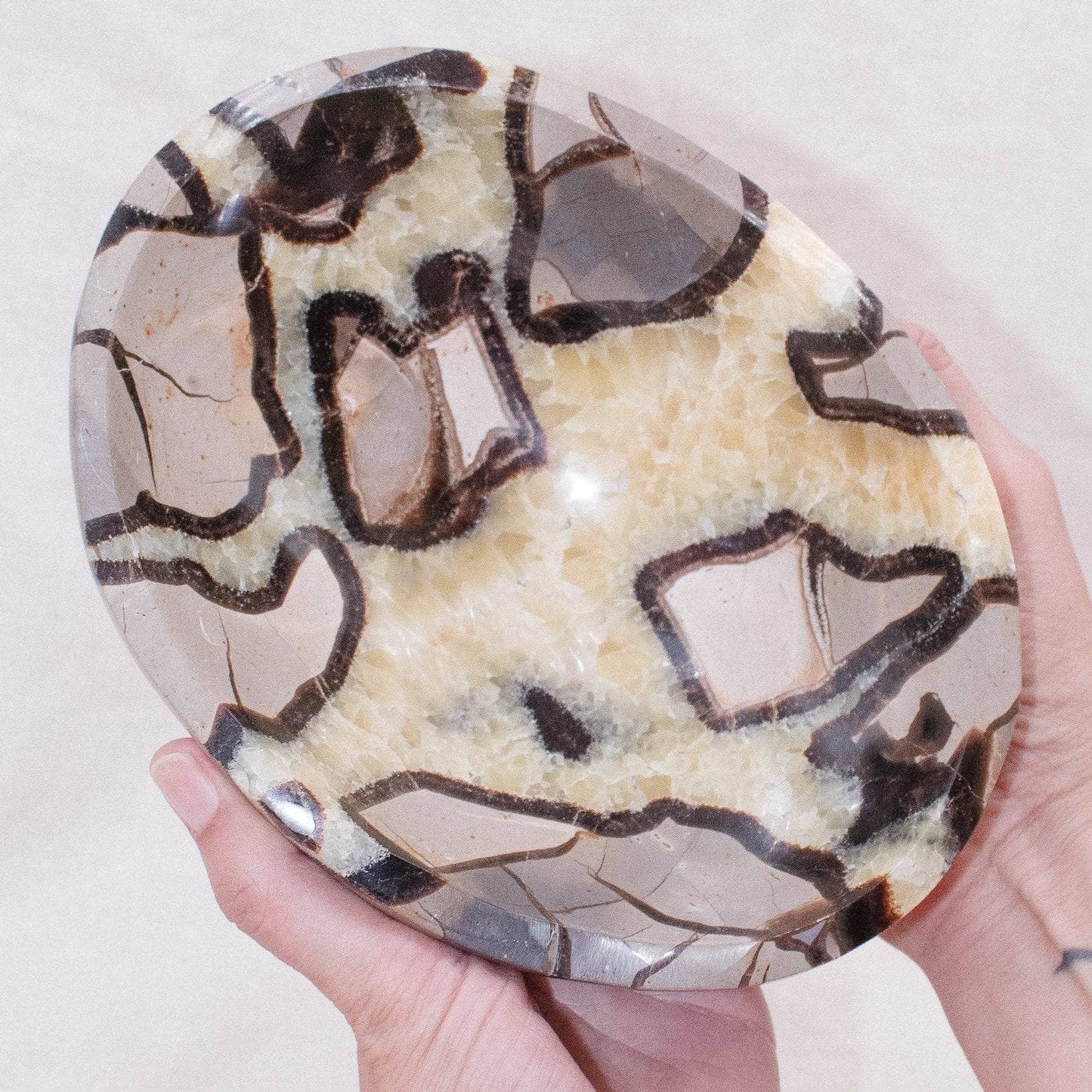 Black Septarian Bowl - 1 of a Kind