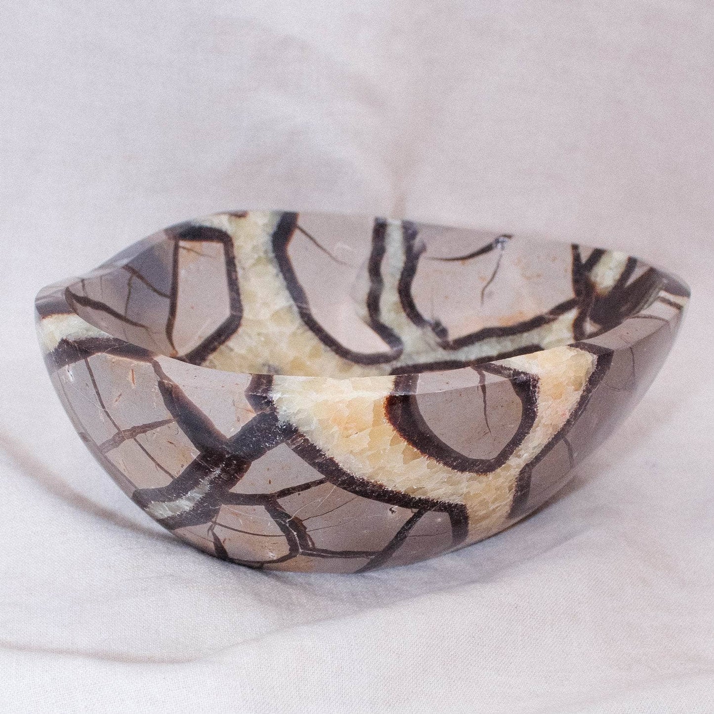 Black Septarian Bowl - 1 of a Kind
