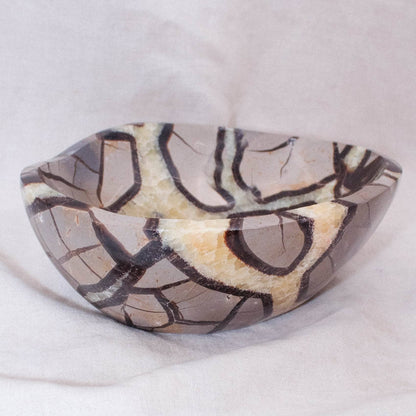 Black Septarian Bowl - 1 of a Kind