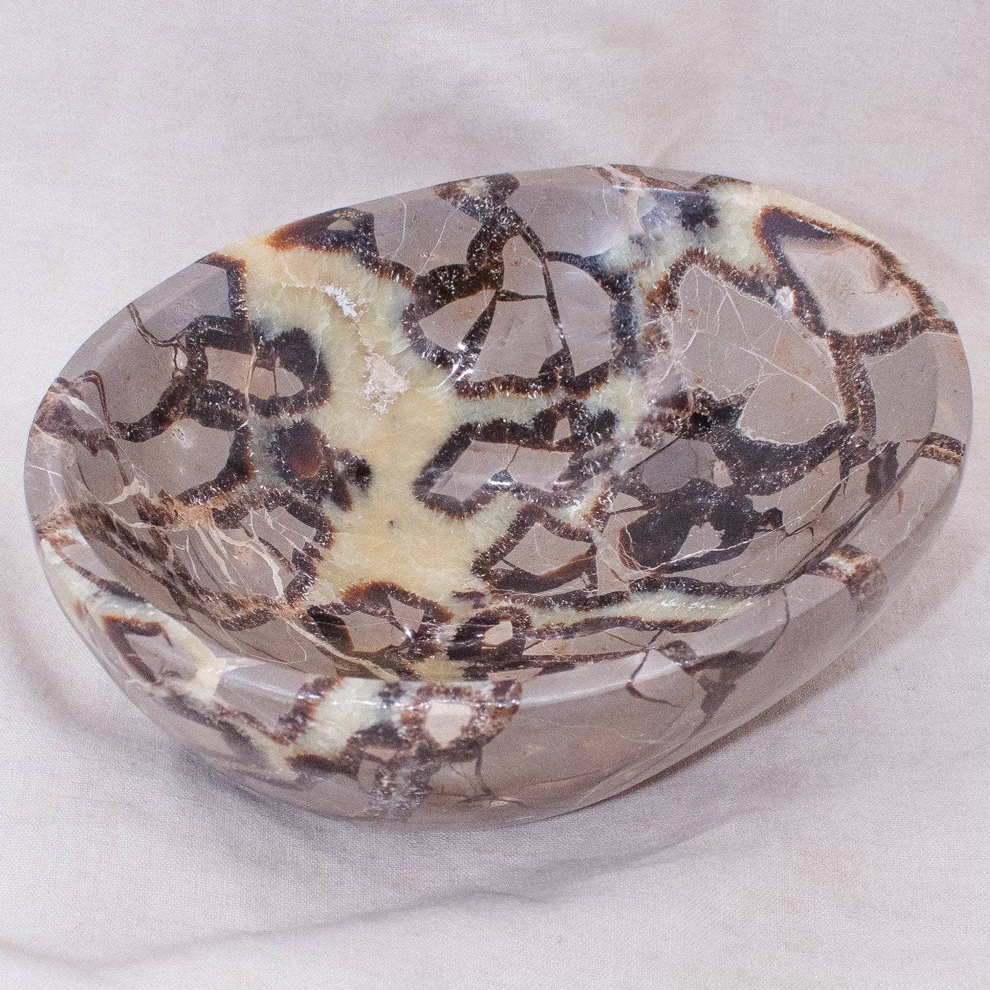 Black Septarian Bowl - 1 of a Kind