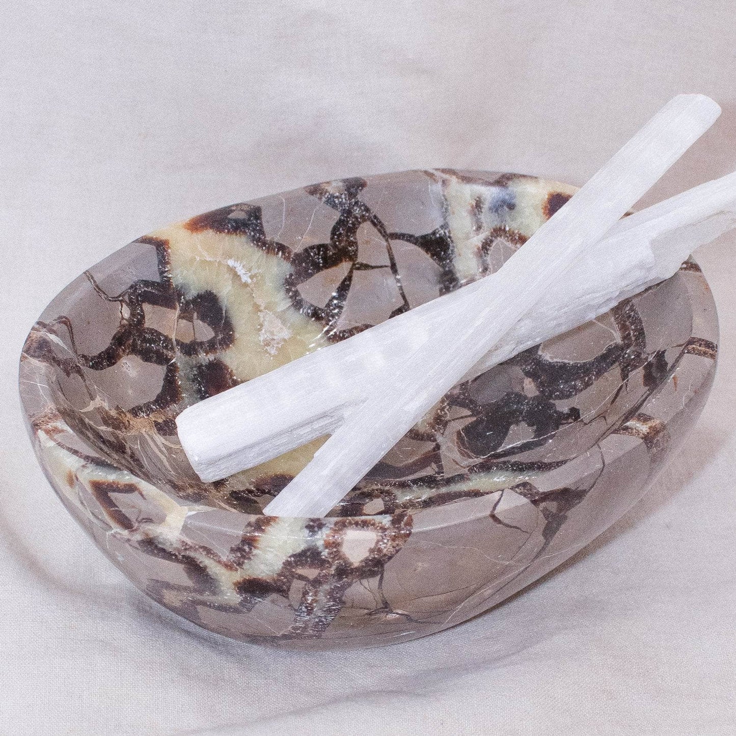 Black Septarian Bowl - 1 of a Kind