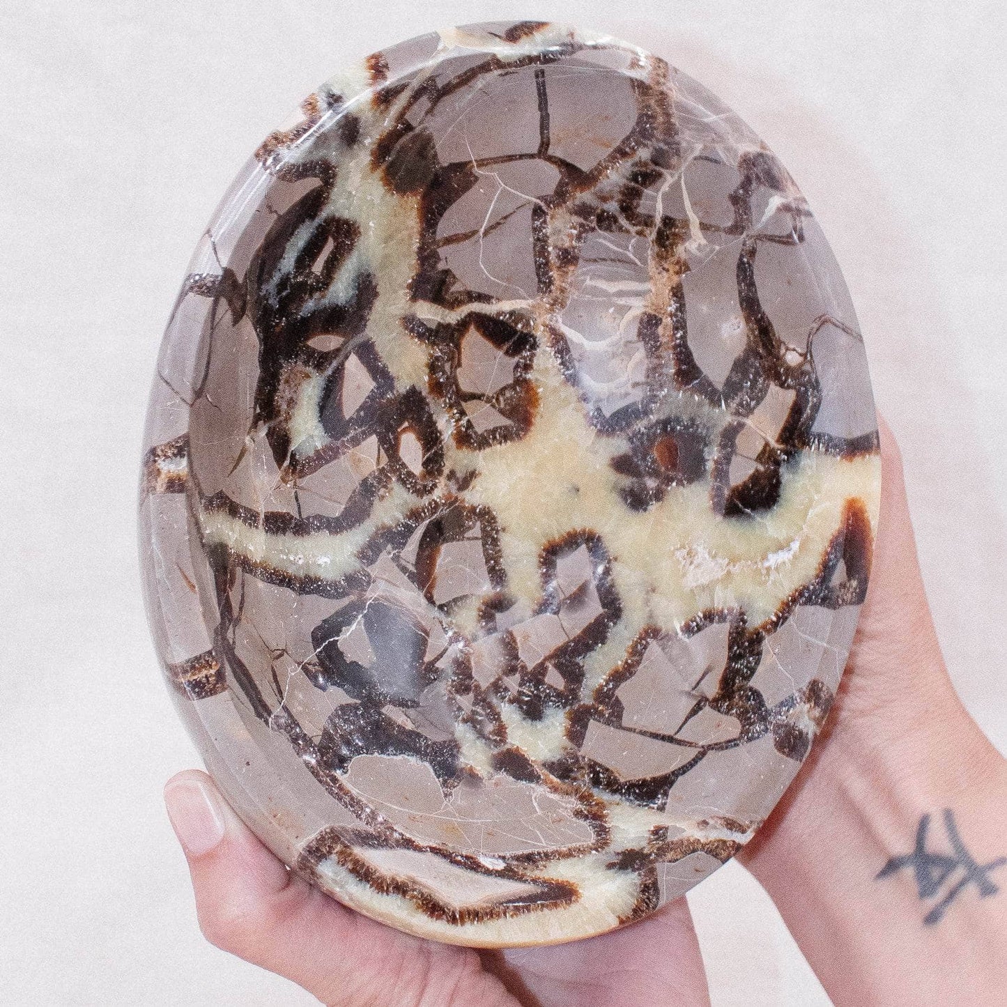 Black Septarian Bowl - 1 of a Kind