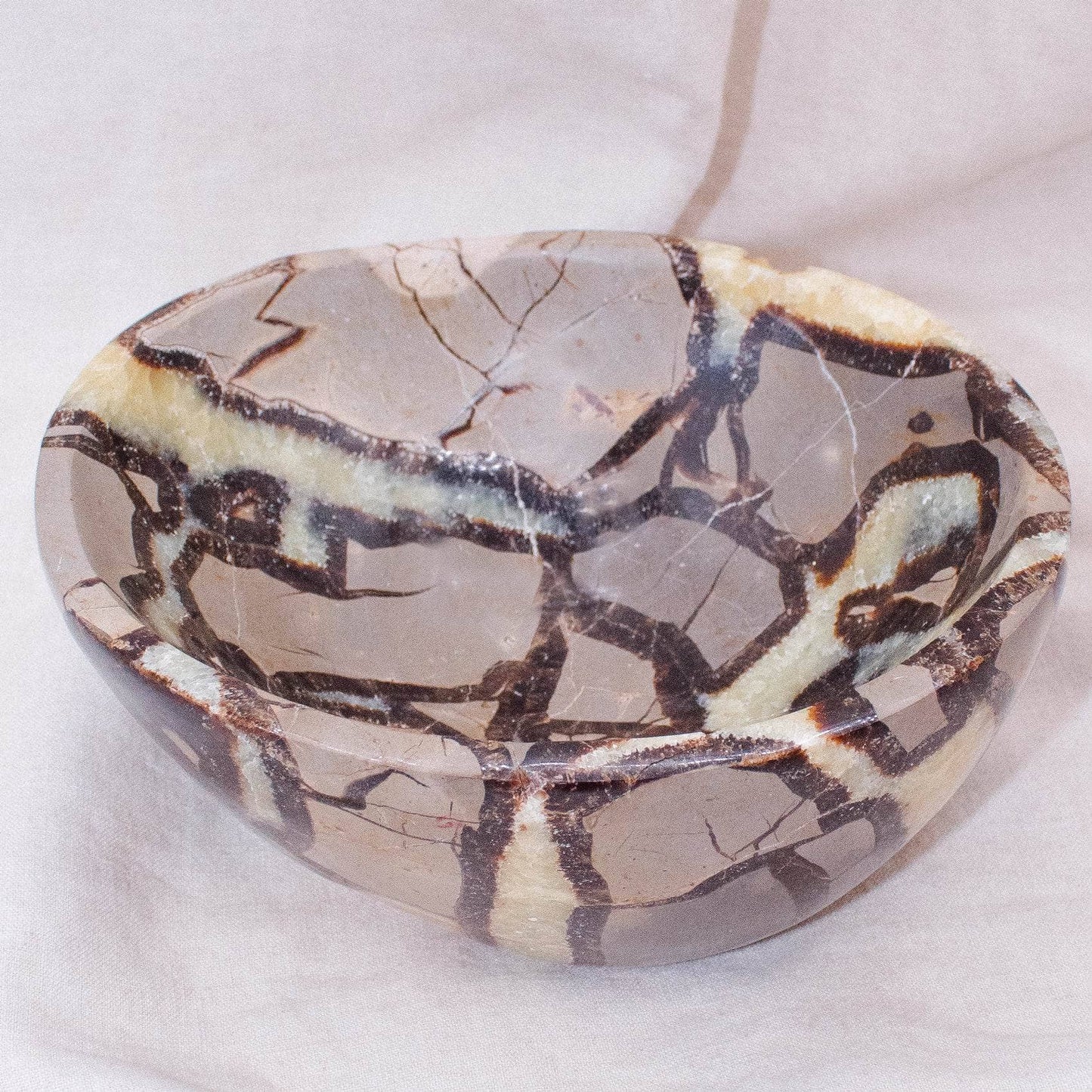 Black Septarian Bowl - 1 of a Kind
