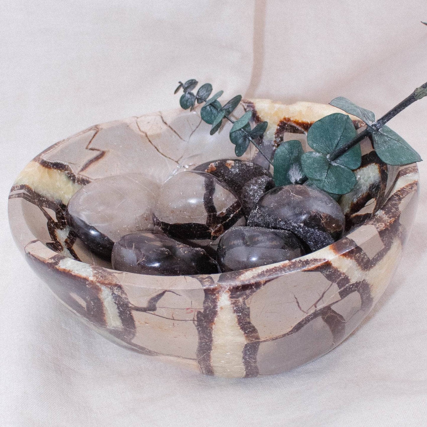 Black Septarian Bowl - 1 of a Kind