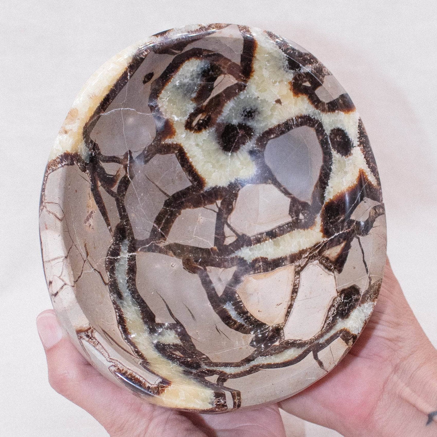 Black Septarian Bowl - 1 of a Kind