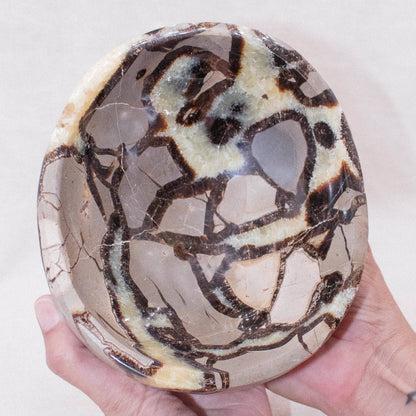 Black Septarian Bowl - 1 of a Kind