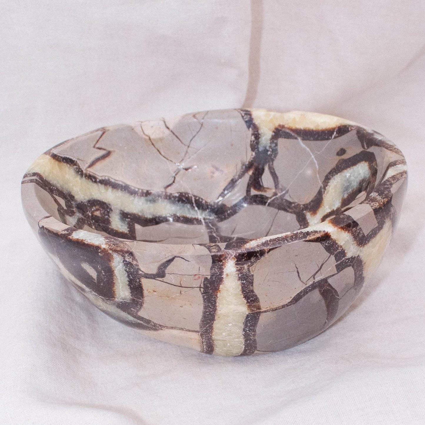 Black Septarian Bowl - 1 of a Kind