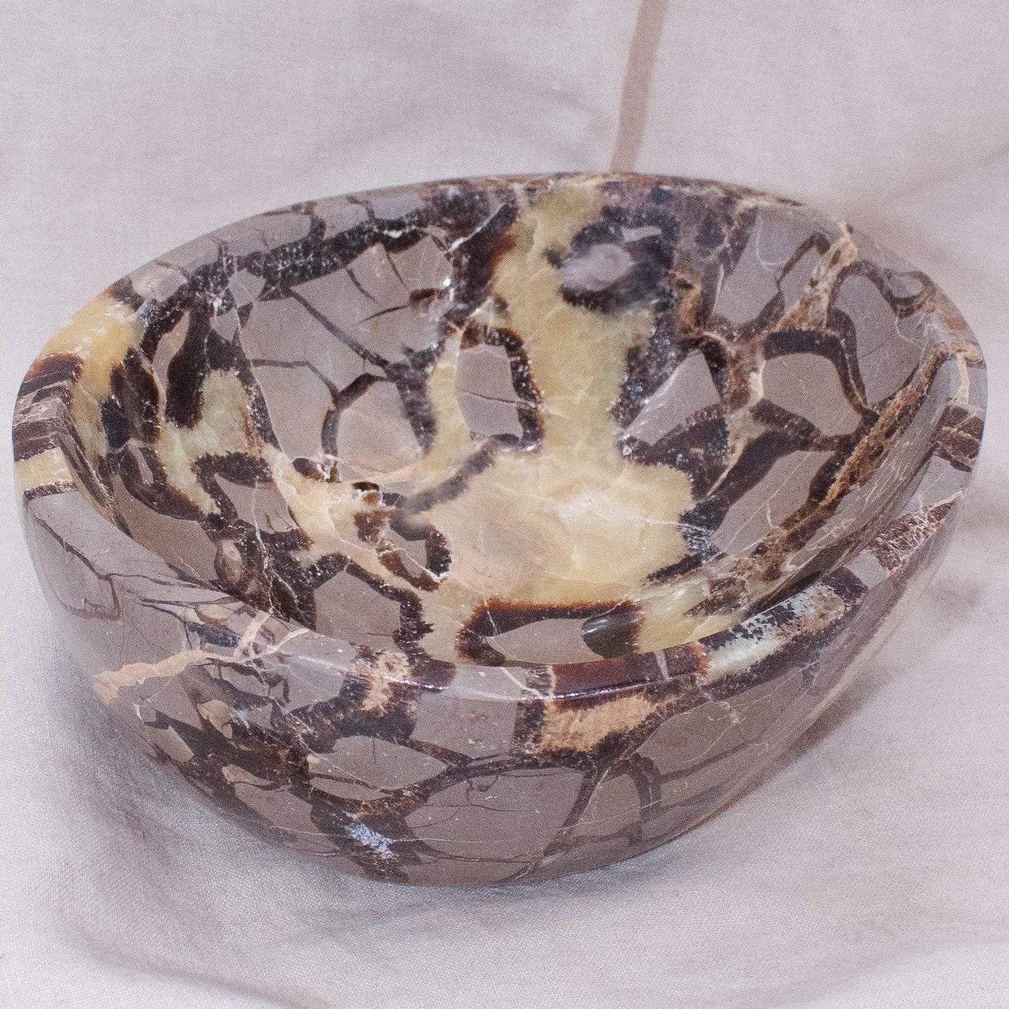 Black Septarian Bowl - 1 of a Kind