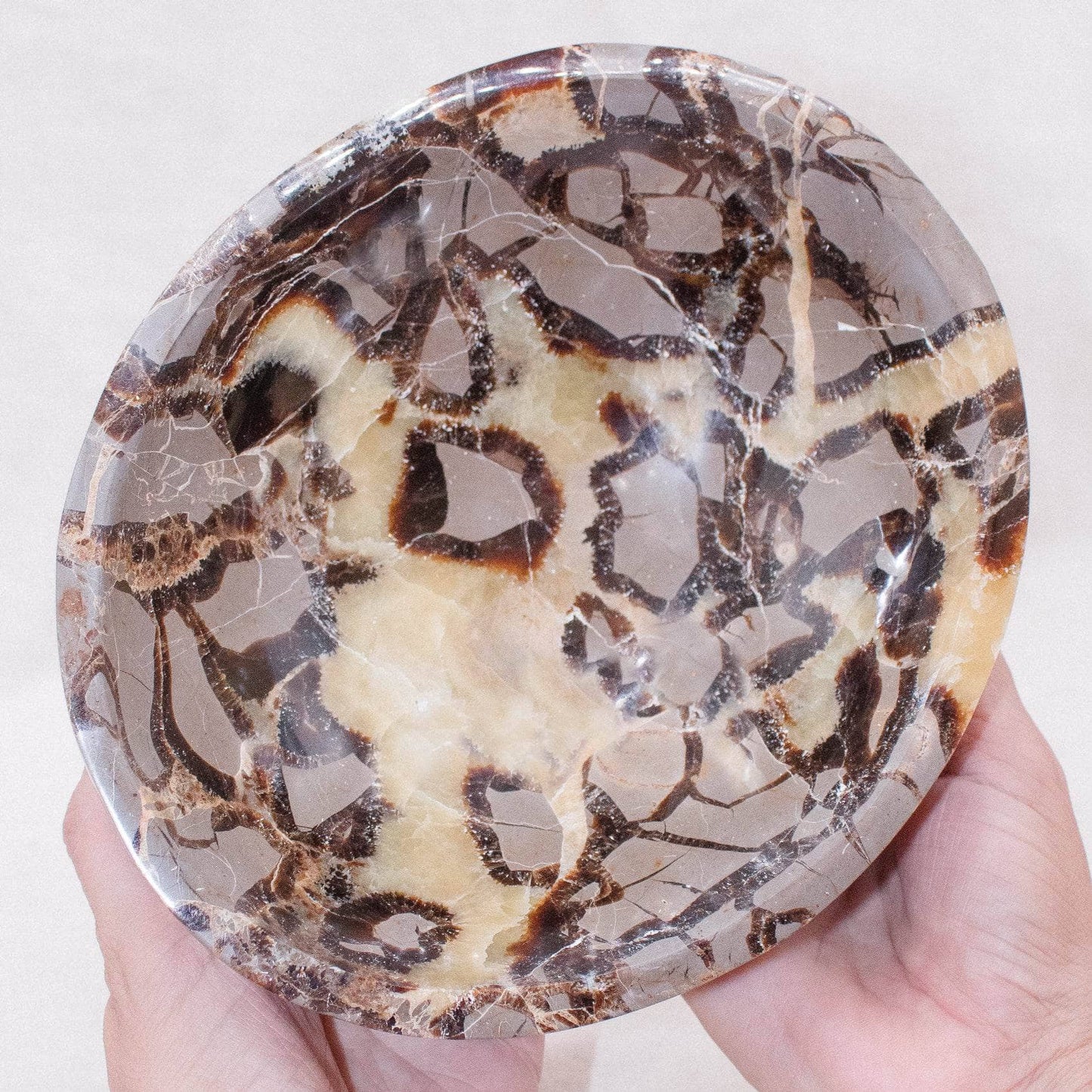 Black Septarian Bowl - 1 of a Kind