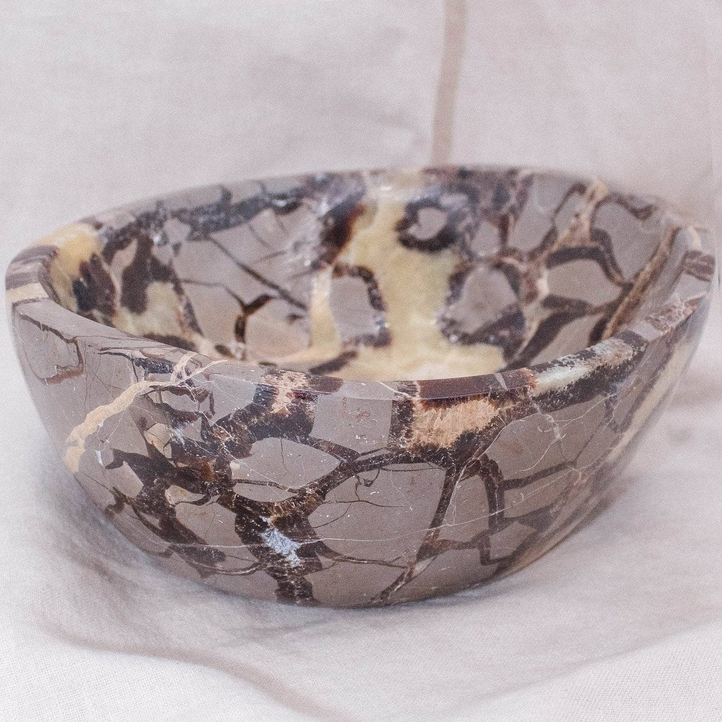 Black Septarian Bowl - 1 of a Kind